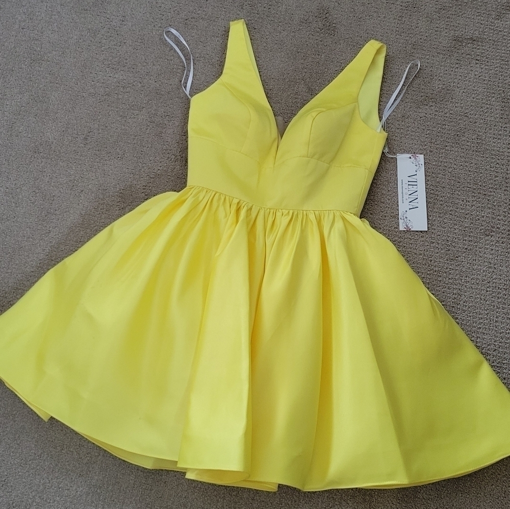 Vienna Prom A Line V Neck Dress w Pleated Full Skirt, Mesh Insert, Several Flaws - Picture 4 of 16